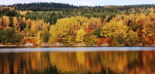 Hotel Racek Černá v Pošumaví Dış mekan fotoğraf